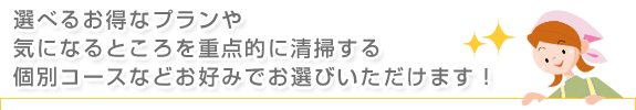 選べるお得なプランや気になるところを重点的に清掃する個別コースなどお好みでお選びいただけます！