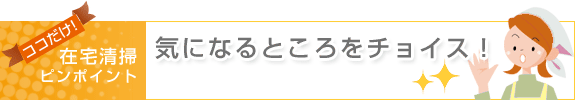 お得な在宅清掃オススメプラン・気になるところをチョイス！